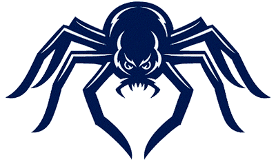 Richmond Spiders 2002-Pres Alternate Logo v2 diy DTF decal sticker